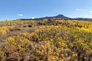 943 Routt Forest Dr, Craig, CO 81625 - Photo 113