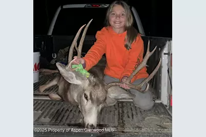 943 Routt Forest Drive, Craig, CO 81625 - Photo 109