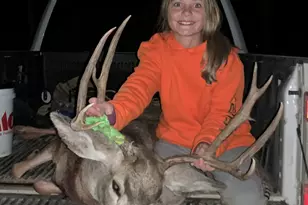 943 Routt Forest Dr, Craig, CO 81625 - Photo 109