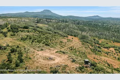 943 Routt Forest Drive, Craig, CO 81625 - Photo 47