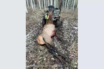 943 Routt Forest Drive, Craig, CO 81625 - Photo 99