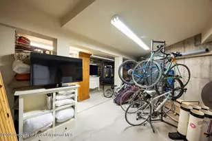 109 Neale Ave, Aspen, CO 81611 - Photo 35