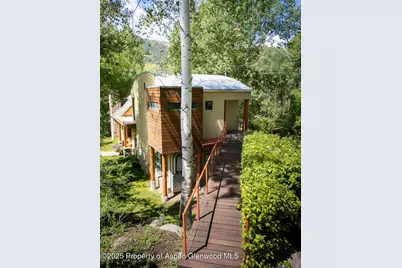 109 Neale Avenue, Aspen, CO 81611 - Photo 43