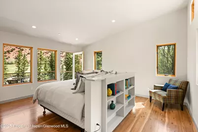 768 Kings Lake Road, Basalt, CO 81621 - Photo 13