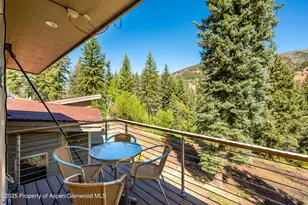 768 Kings Lake Rd, Basalt, CO 81621 - Photo 19