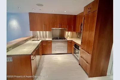 100 E Cooper Avenue #2, Aspen, CO 81611 - Photo 1