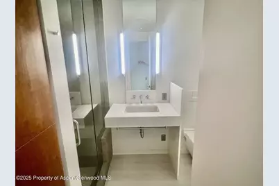 100 E Cooper Avenue #2, Aspen, CO 81611 - Photo 5