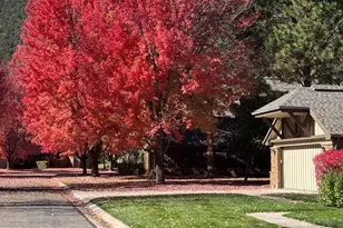 70 Golden Bear Dr, Carbondale, CO 81623 - Photo 49