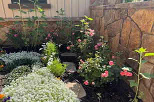 70 Golden Bear Dr, Carbondale, CO 81623 - Photo 51