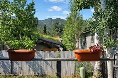 306 Oak Lane, Aspen, CO 81611 - Photo 19