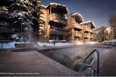 610 S West End Street #Unit K103, Aspen, CO 81611 - Photo 23