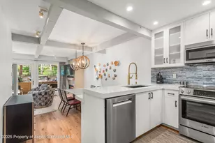 610 S W End St, Aspen, CO 81611 - Photo 9