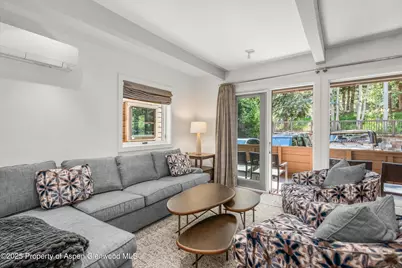 610 S West End Street #Unit K103, Aspen, CO 81611 - Photo 3