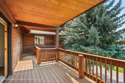 17 Dakota Court, Carbondale, CO 81623 - Photo 25