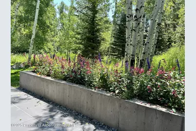 1180 Black Birch Drive, Aspen, CO 81611 - Photo 31