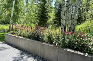 1180 Black Birch Dr, Aspen, CO 81611 - Photo 31