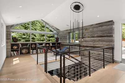 1180 Black Birch Drive, Aspen, CO 81611 - Photo 9