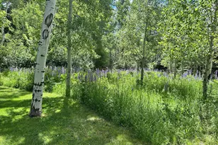 1180 Black Birch Dr, Aspen, CO 81611 - Photo 29