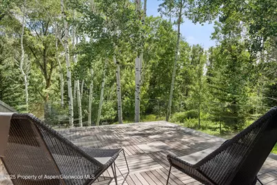 1180 Black Birch Drive, Aspen, CO 81611 - Photo 11