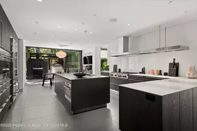 1180 Black Birch Drive, Aspen, CO 81611 - Photo 5