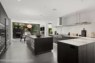 1180 Black Birch Dr, Aspen, CO 81611 - Photo 5