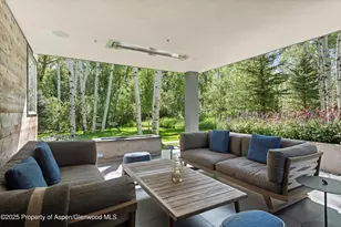 1180 Black Birch Dr, Aspen, CO 81611 - Photo 17