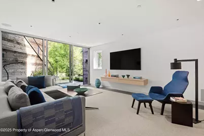 1180 Black Birch Drive, Aspen, CO 81611 - Photo 7