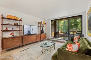 332 Vine St, Aspen, CO 81611 - Photo 5