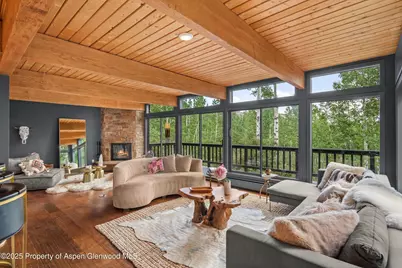 49 Elk Ridge Lane, Snowmass Village, CO 81615 - Photo 7