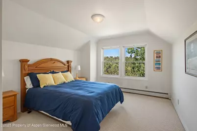 5357 County Road 100, Carbondale, CO 81623 - Photo 23