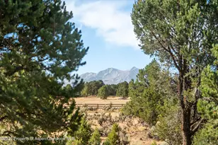 5357 Co Rd 100, Carbondale, CO 81623 - Photo 5