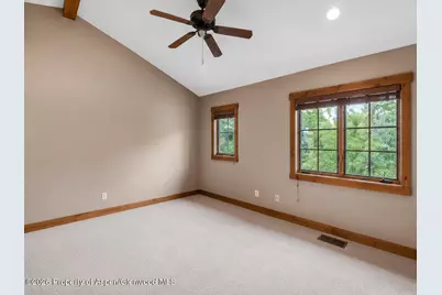 145 Juniper Trail, Carbondale, CO 81623 - Photo 9