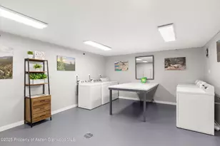 65 Campground Ln, Snowmass Village, CO 81615 - Photo 11