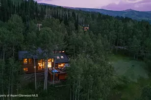 215 Maple Ridge Ln, Snowmass Village, CO 81615 - Photo 29