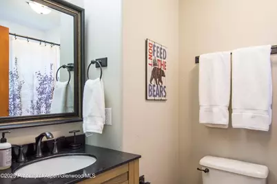 215 Maple Ridge Lane, Snowmass Village, CO 81615 - Photo 23