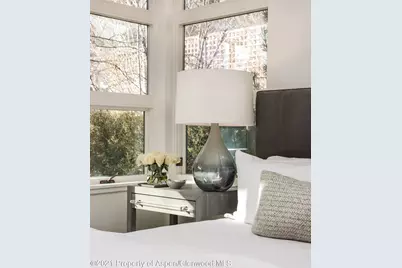 704 E Hyman Avenue, Aspen, CO 81611 - Photo 21