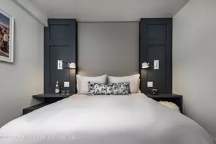 704 E Hyman Ave, Aspen, CO 81611 - Photo 13