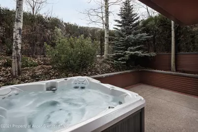 704 E Hyman Avenue, Aspen, CO 81611 - Photo 19