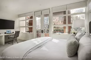 704 E Hyman Ave, Aspen, CO 81611 - Photo 23