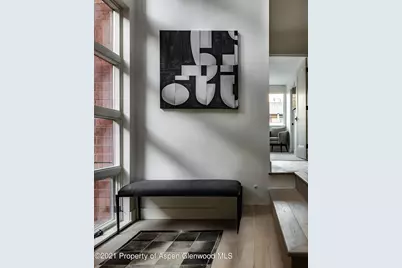 704 E Hyman Avenue, Aspen, CO 81611 - Photo 17