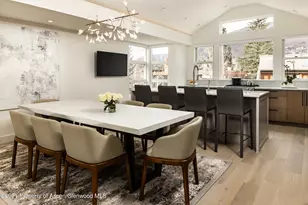 704 E Hyman Ave, Aspen, CO 81611 - Photo 7