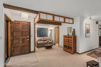 824 E Hopkins Avenue #102 and 202, Aspen, CO 81611 - Photo 15