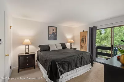 824 E Hopkins Avenue #102 and 202, Aspen, CO 81611 - Photo 5