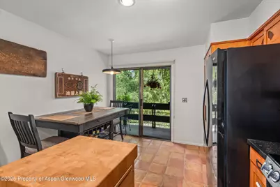 824 E Hopkins Avenue #102 and 202, Aspen, CO 81611 - Photo 7