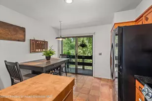 824 E Hopkins Ave, Aspen, CO 81611 - Photo 7