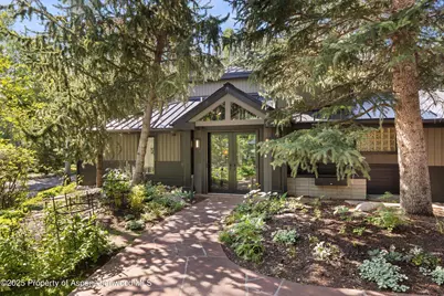 1145 Black Birch Drive, Aspen, CO 81611 - Photo 29