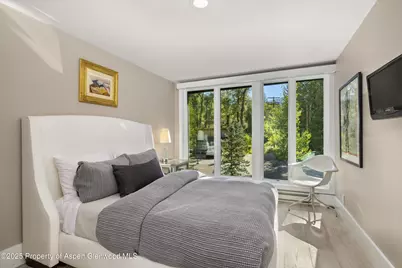 1145 Black Birch Drive, Aspen, CO 81611 - Photo 21