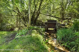 1145 Black Birch Dr, Aspen, CO 81611 - Photo 33