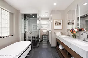 1145 Black Birch Dr, Aspen, CO 81611 - Photo 17