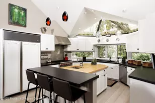 1145 Black Birch Dr, Aspen, CO 81611 - Photo 5